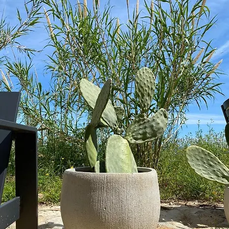 Casello 79 Rais Willa